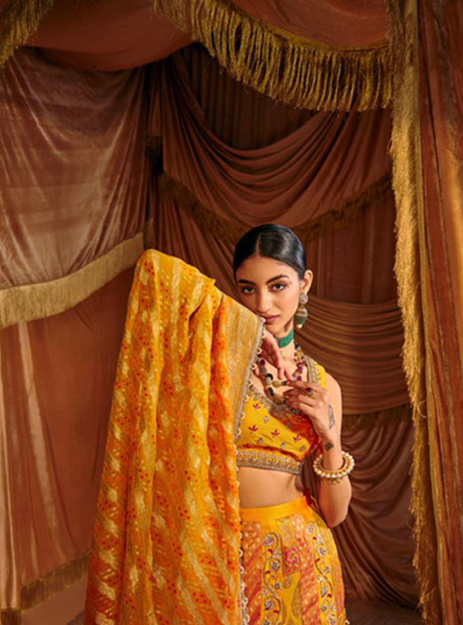 Mango Yellow Panel Banarasi Lehenga