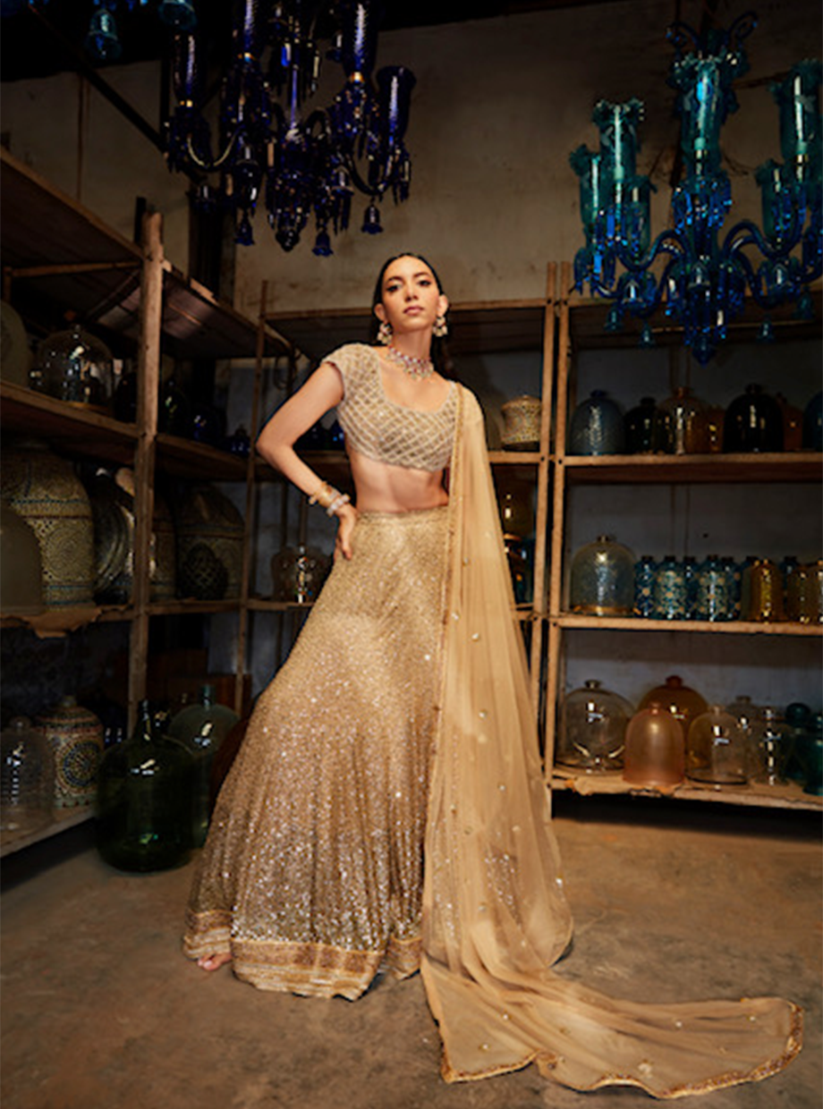 Cutwork Gold Sequin Shaded Lehenga