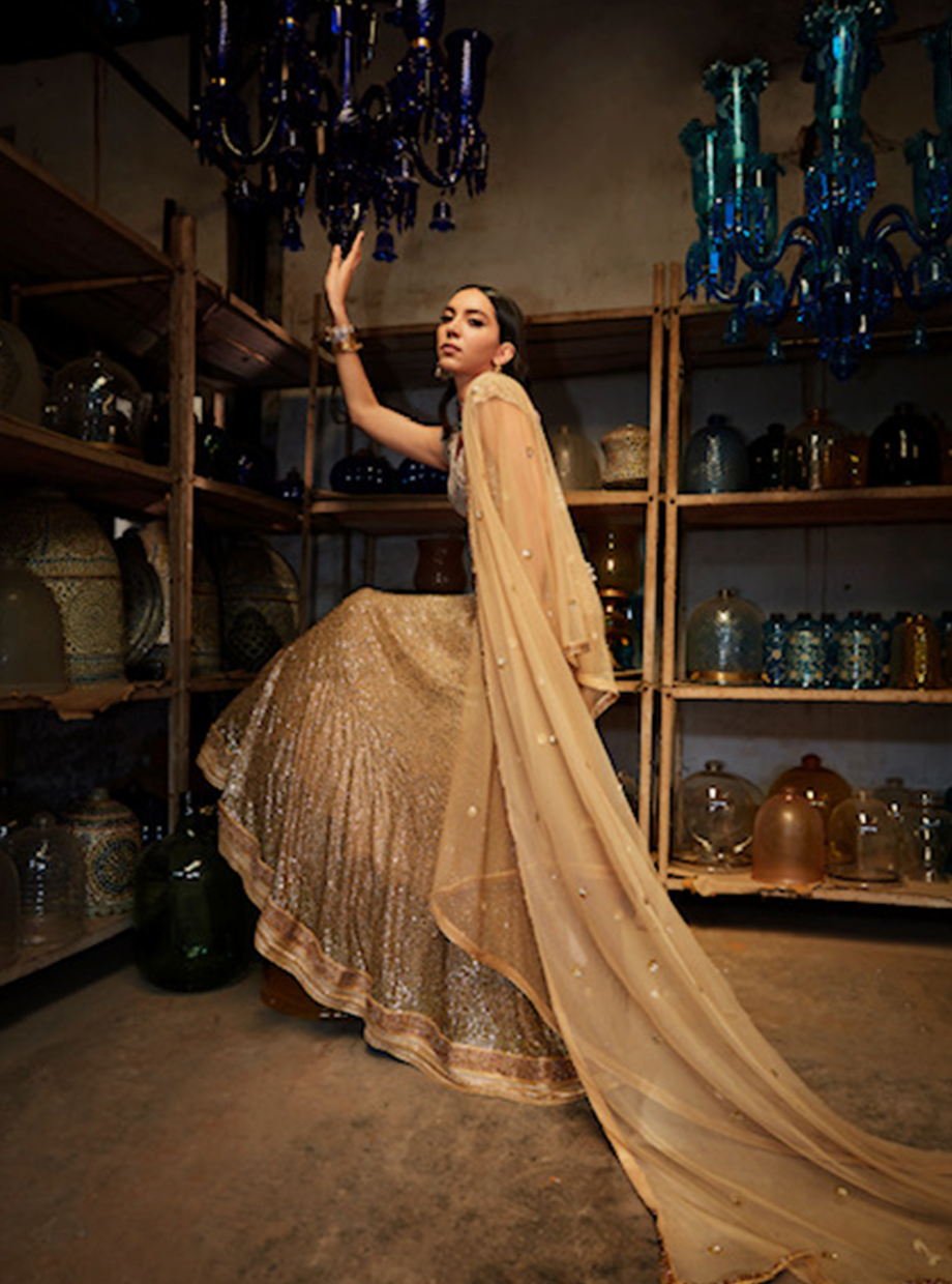 Cutwork Gold Sequin Shaded Lehenga