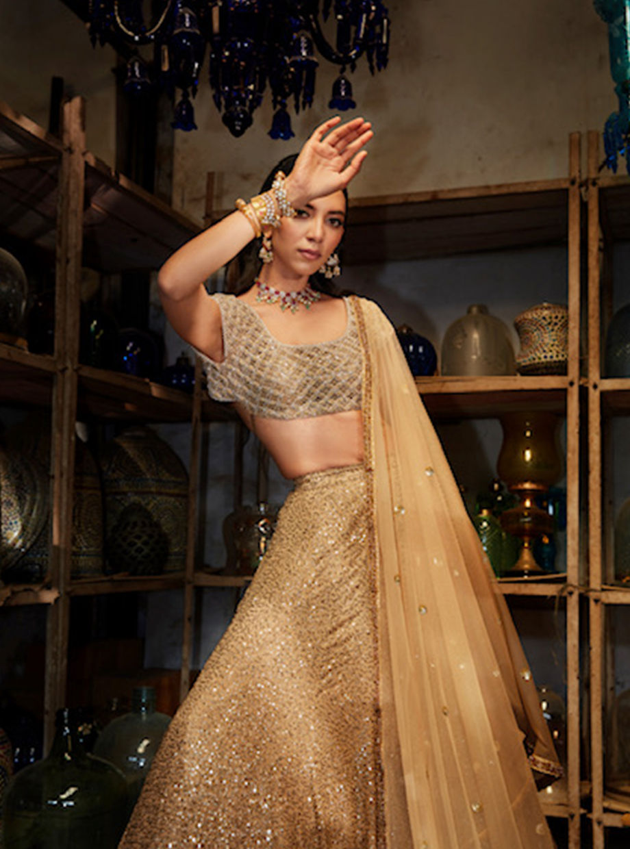 Cutwork Gold Sequin Shaded Lehenga