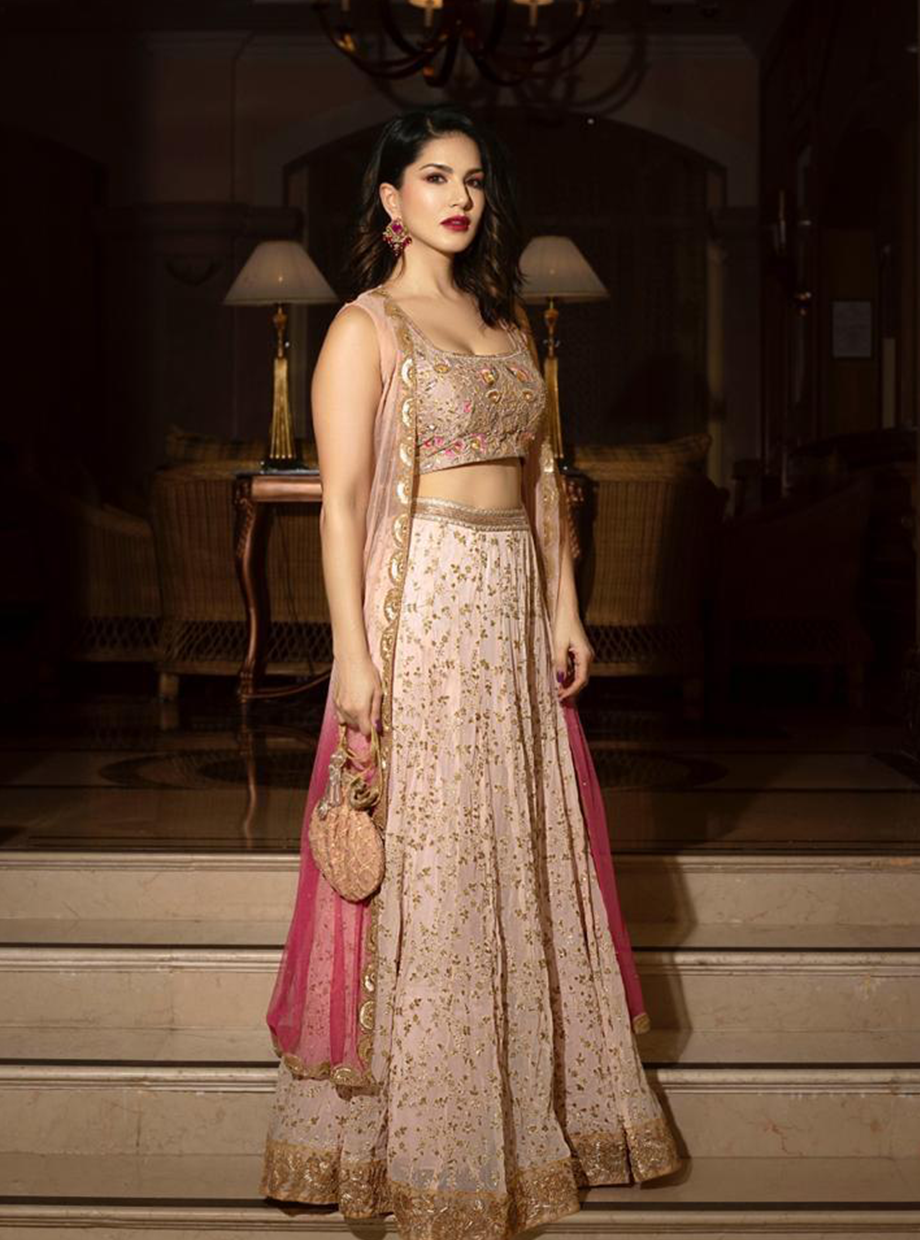 Rose Pink Cape Lehenga