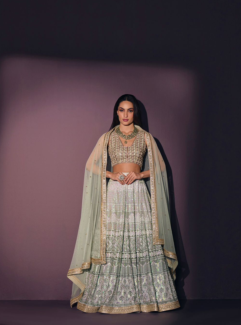 Ombre Cutwork Sequin Panel Lehenga