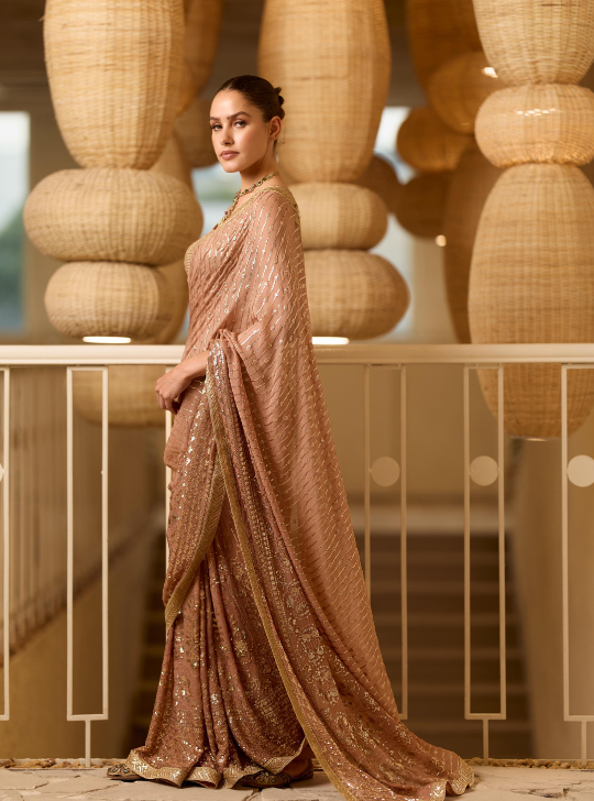 Mocha Tone, Ombre Sequence Saree