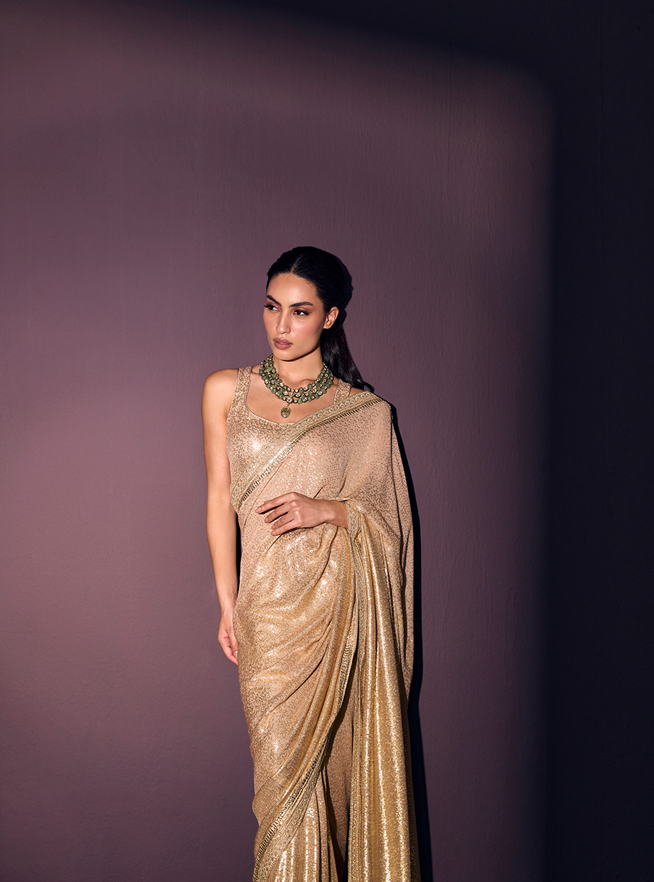 Metalic Sequin Saree