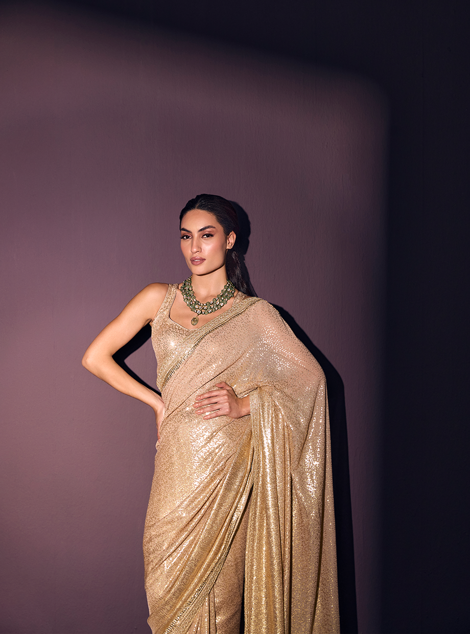 Metalic Sequin Saree