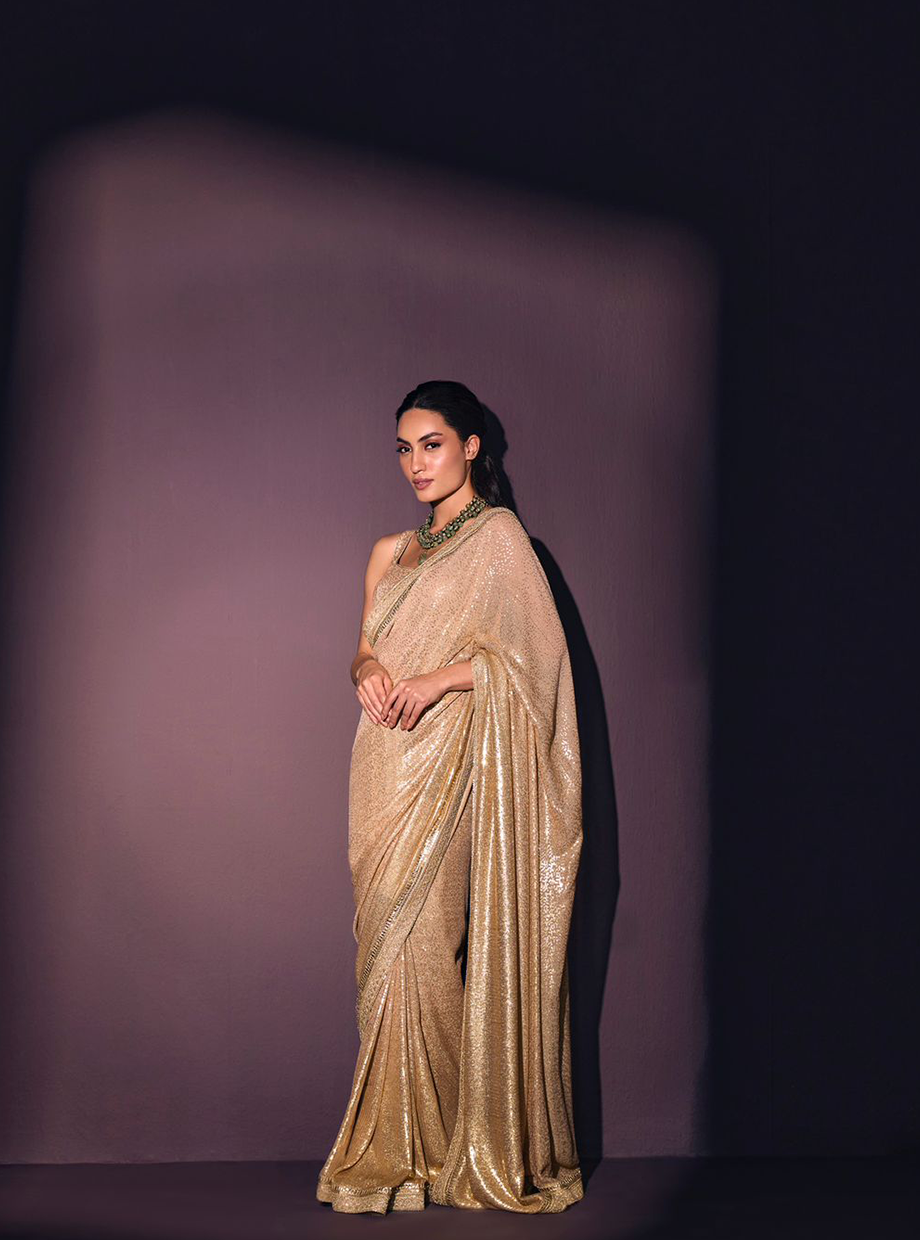 Metalic Sequin Saree