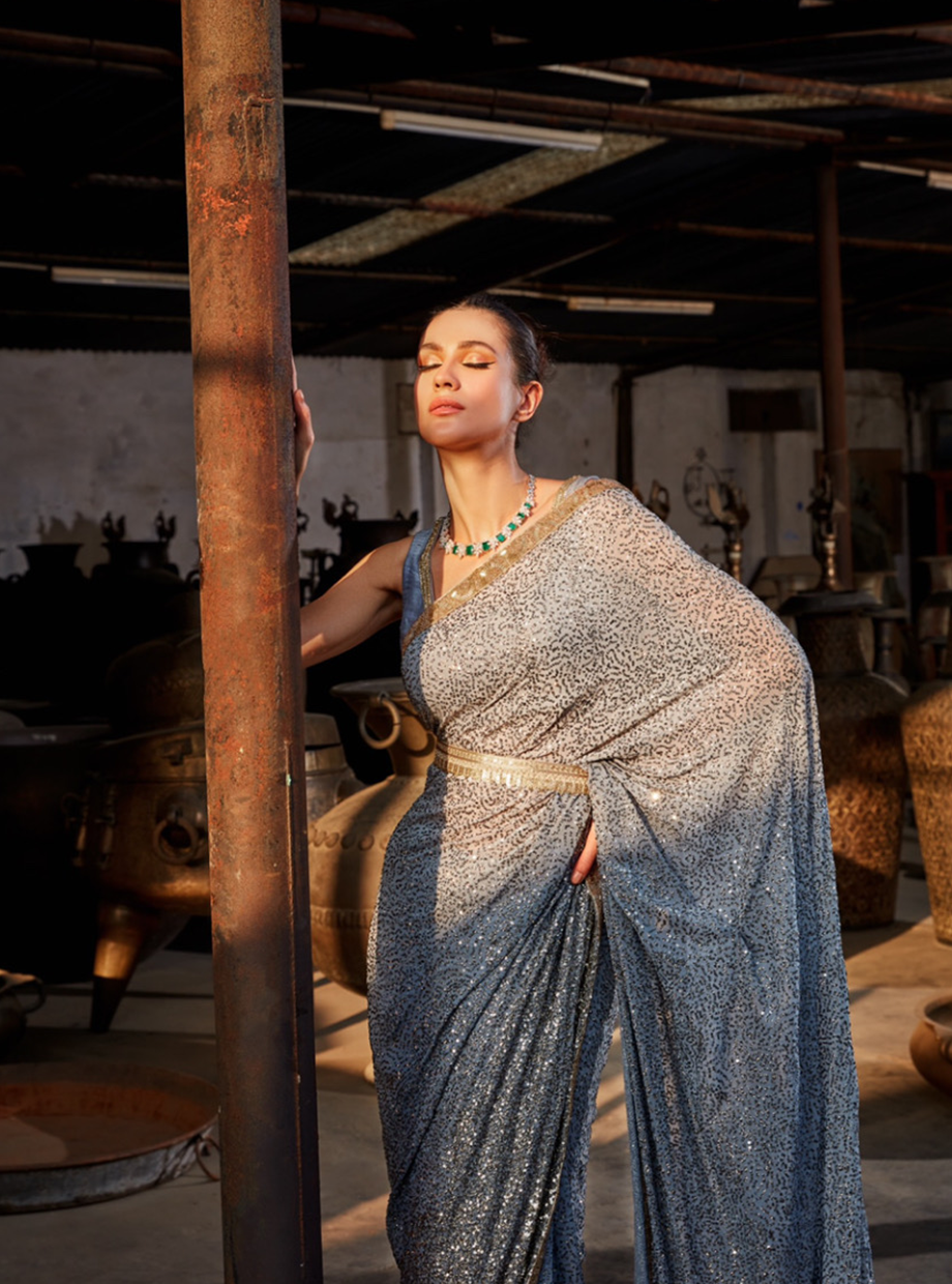 Grey Sequin Shaded Saree