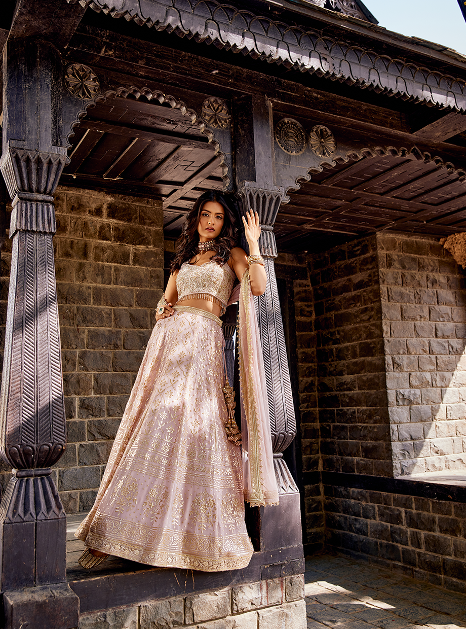 Rose Pink Foil Georgette Pearl Lehenga